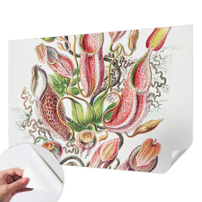 Fotografická tapeta samolepiaca Detaily rastliny