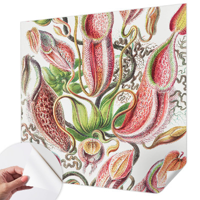 Fotografická tapeta samolepiaca Detaily rastliny