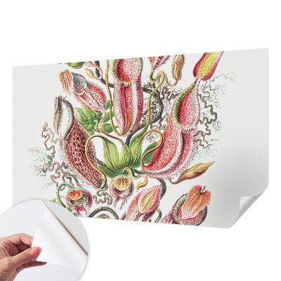 Fotografická tapeta samolepiaca Detaily rastliny