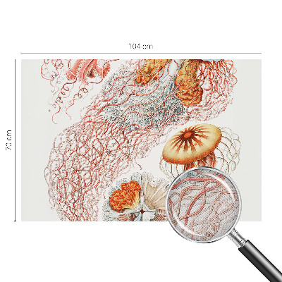 Samolepiaca fototapeta do spálne Luxusná medúza