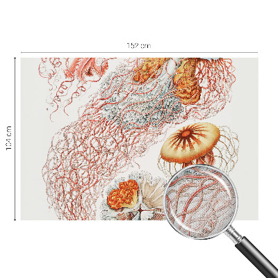 Samolepiaca fototapeta do spálne Luxusná medúza