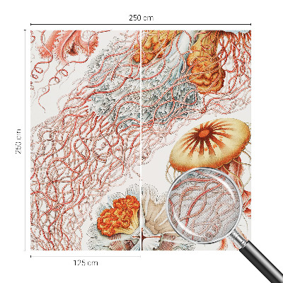 Samolepiaca fototapeta do spálne Luxusná medúza