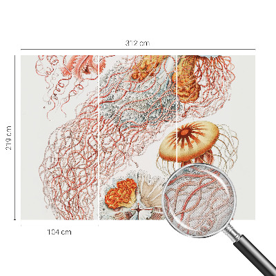 Samolepiaca fototapeta do spálne Luxusná medúza