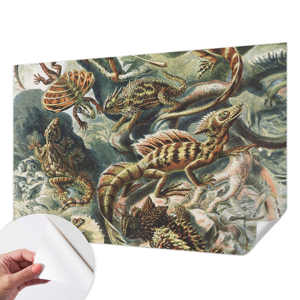 Samolepiaca fototapeta do obývačky Exotické plazy