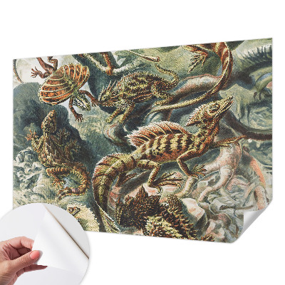 Samolepiaca fototapeta do obývačky Exotické plazy