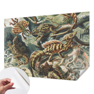 Samolepiaca fototapeta do obývačky Exotické plazy