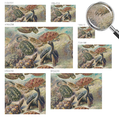 3D fototapeta Fauna korytnačiek