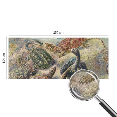 3D fototapeta Fauna korytnačiek