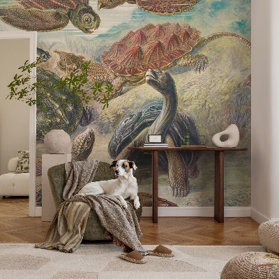 3D fototapeta Fauna korytnačiek