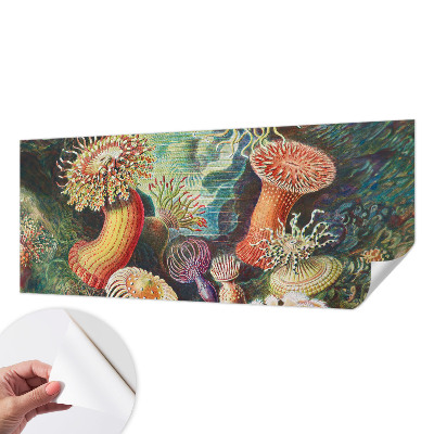 3D tapeta Luxusné sasanky