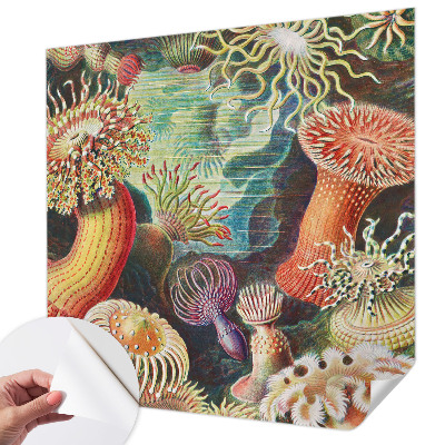 3D tapeta Luxusné sasanky