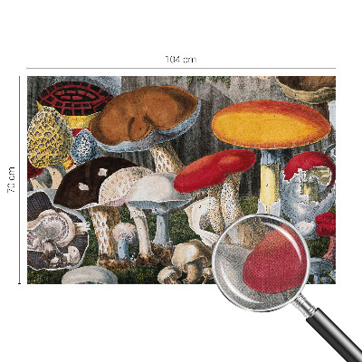 Fototapeta pre dievča Botanické huby