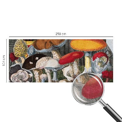 Fototapeta pre dievča Botanické huby