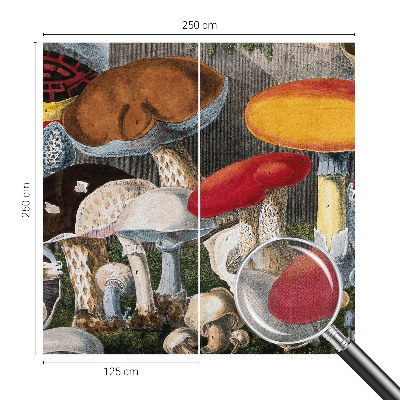 Fototapeta pre dievča Botanické huby