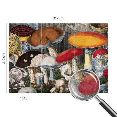 Fototapeta pre dievča Botanické huby