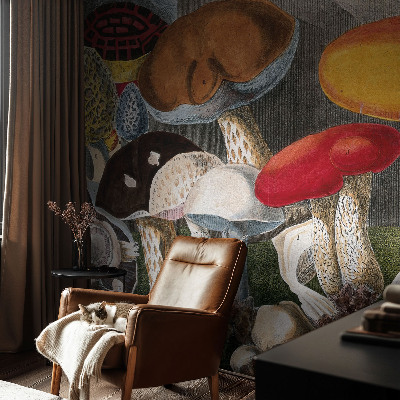 Fototapeta pre dievča Botanické huby