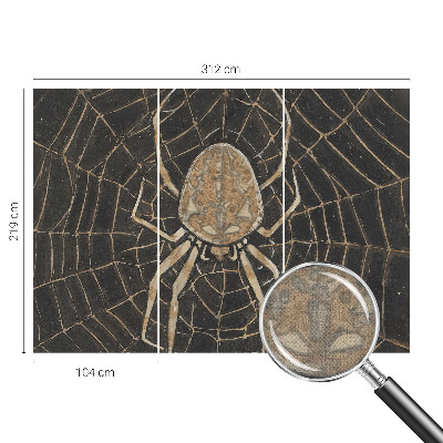 Tapeta do obývačky Pavučina