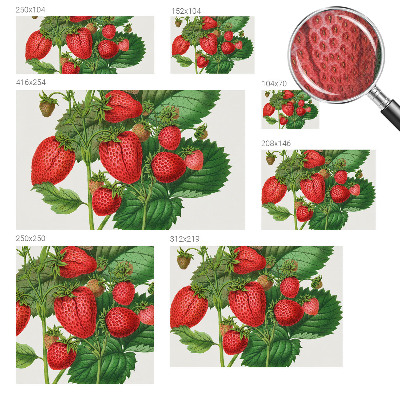 Samolepiaca tapeta Letné ovocie