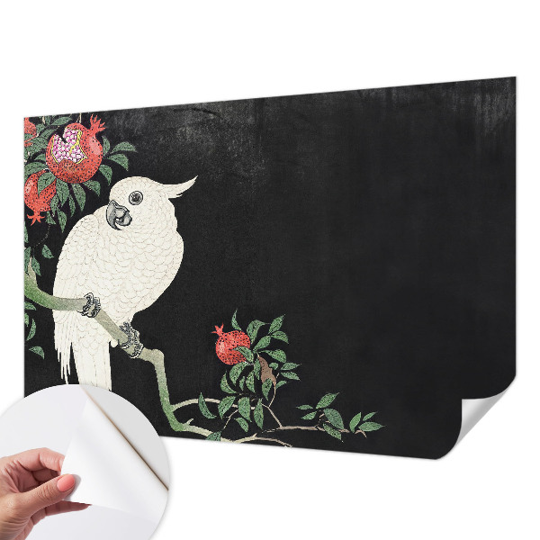 3D fototapeta Papagáj z granátového jablka