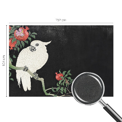 3D fototapeta Papagáj z granátového jablka