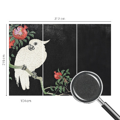 3D fototapeta Papagáj z granátového jablka