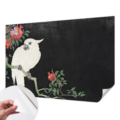 3D fototapeta Papagáj z granátového jablka