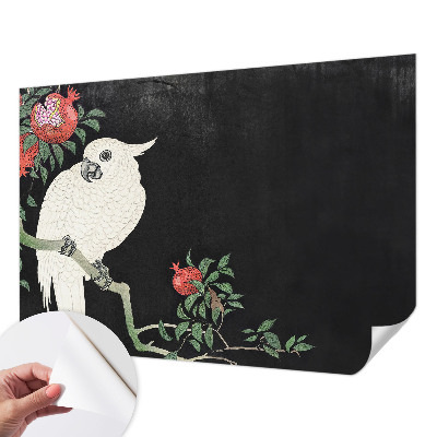 3D fototapeta Papagáj z granátového jablka