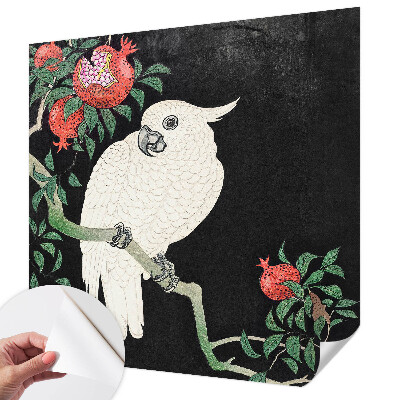 3D fototapeta Papagáj z granátového jablka