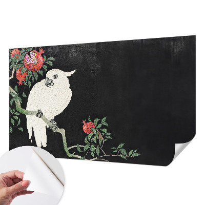 3D fototapeta Papagáj z granátového jablka