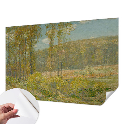 3D tapeta na stenu s motívom lesnej krajiny