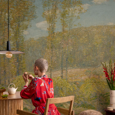 3D tapeta na stenu Lesná krajina