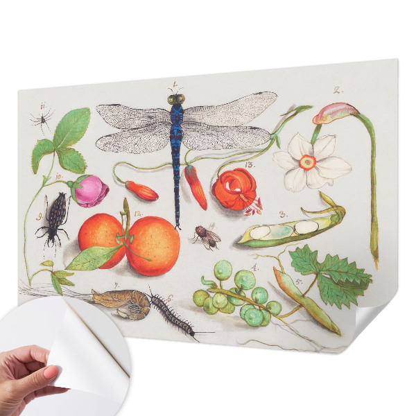 Samolepiaca tapeta Ilustrácia prírody