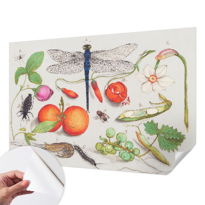 Samolepiaca tapeta Ilustrácia prírody