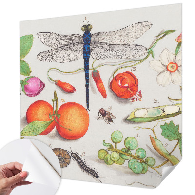 Samolepiaca tapeta Ilustrácia prírody