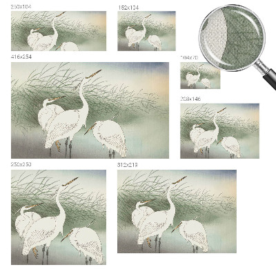 Samolepiaca fototapeta do obývačky Volavky v tráve