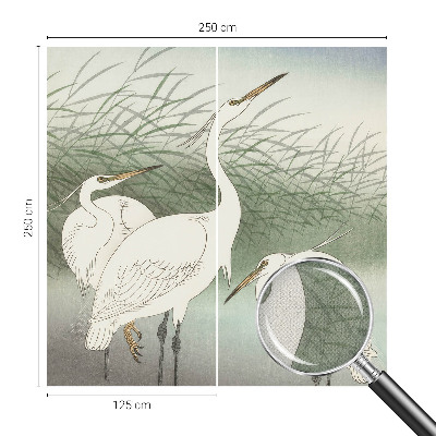 Samolepiaca fototapeta do obývačky Volavky v tráve