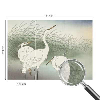 Samolepiaca fototapeta do obývačky Volavky v tráve