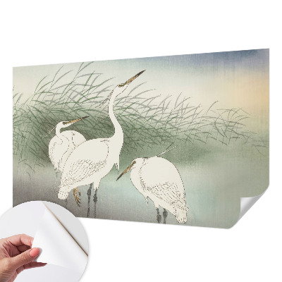 Samolepiaca fototapeta do obývačky Volavky v tráve