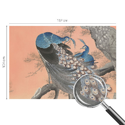 3D fototapeta Pávia elegancia