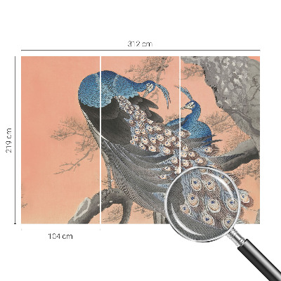 3D fototapeta Pávia elegancia