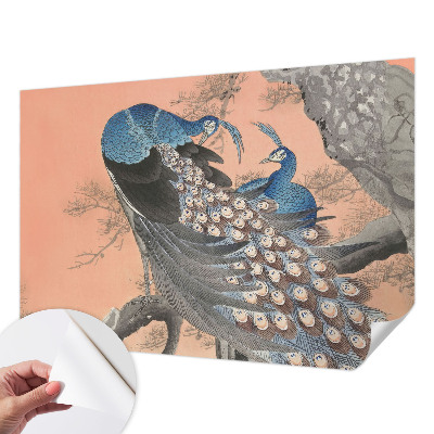 3D fototapeta Pávia elegancia