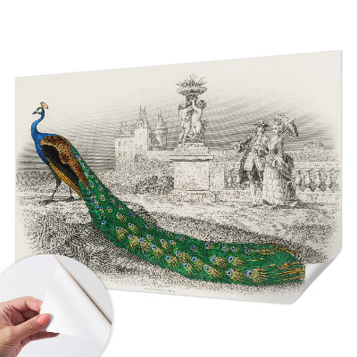 3D tapeta Farebné perie