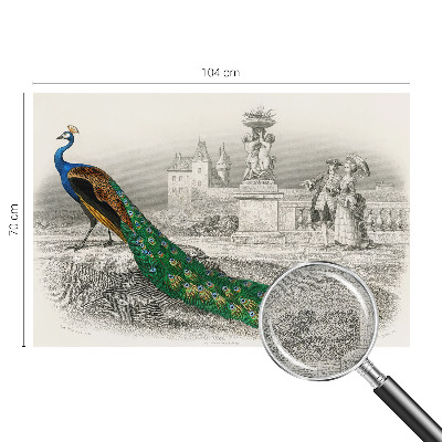 3D tapeta Farebné perie