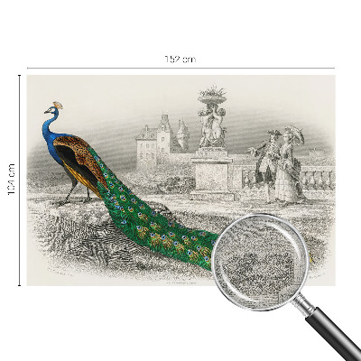 3D tapeta Farebné perie