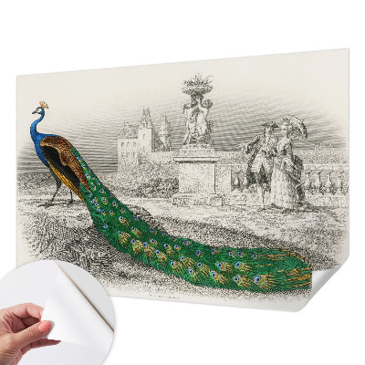 3D tapeta Farebné perie