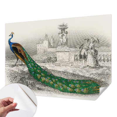 3D tapeta Farebné perie