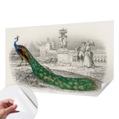 3D tapeta Farebné perie