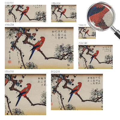 3D tapeta na stenu Vták na konári