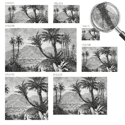 Detská fototapeta na stenu Tropická oáza