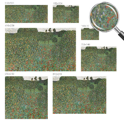 Moderná tapeta na stenu Kvetinová lúka